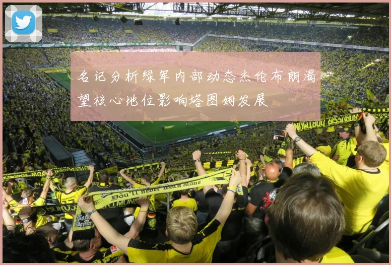 名记分析绿军内部动态杰伦布朗渴望核心地位影响塔图姆发展